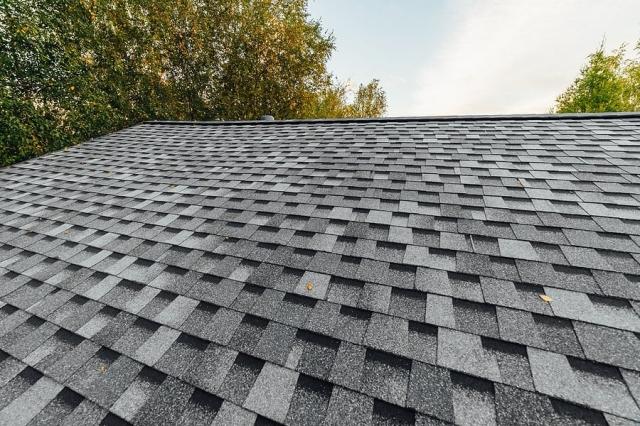 Bishopbriggs Roofers: Keeping Your Shelter Secure